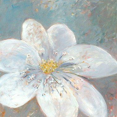 Anemone