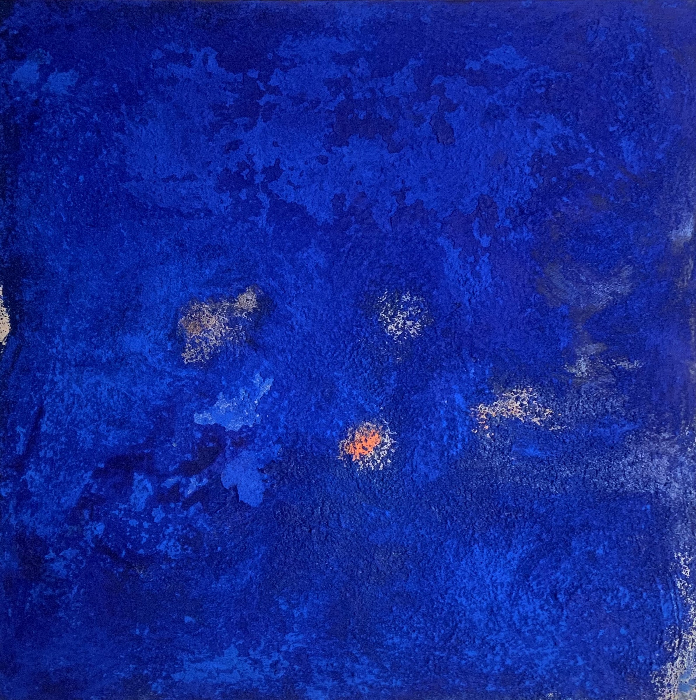 Blue Salmon Spots